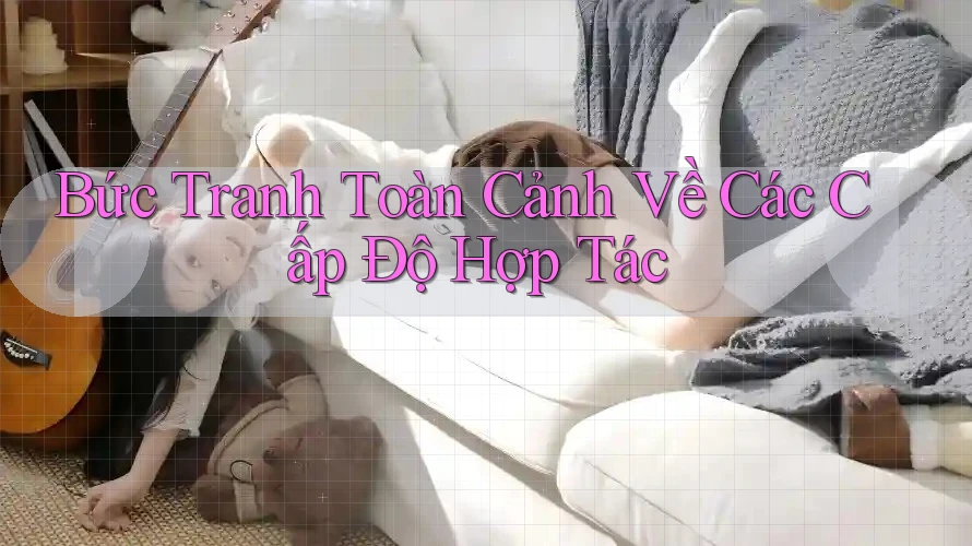 Bức Tranh Toàn Cảnh Về Các Cấp Độ Hợp Tác Bức Tranh Toàn Cảnh Về Các Cấp Độ Hợp Tác