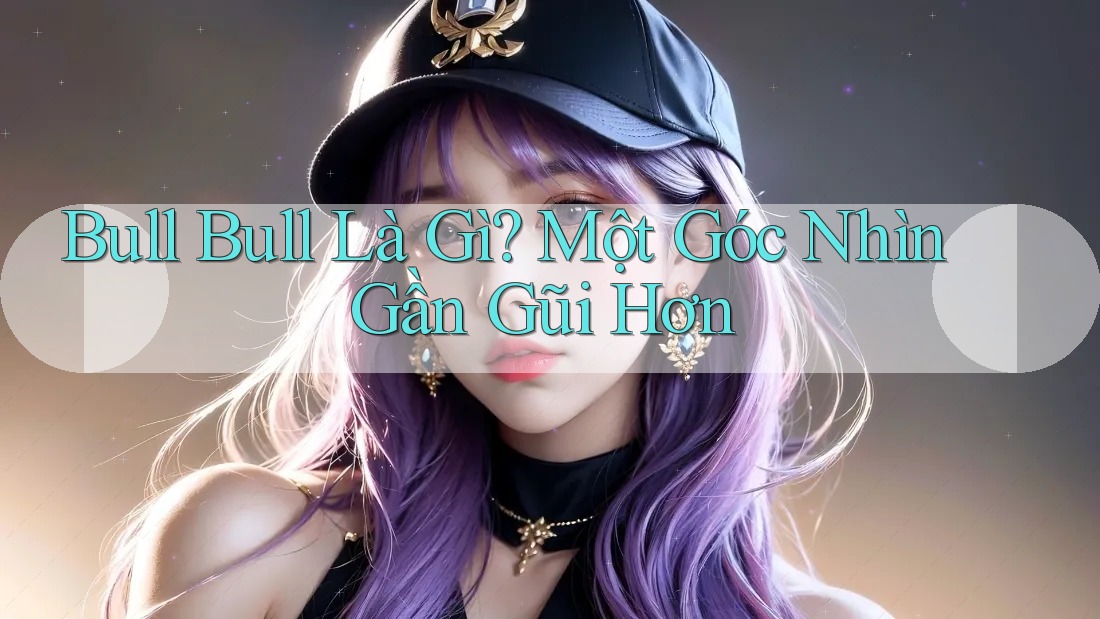 Bull Bull Là Gì? Một Góc Nhìn Gần Gũi Hơn