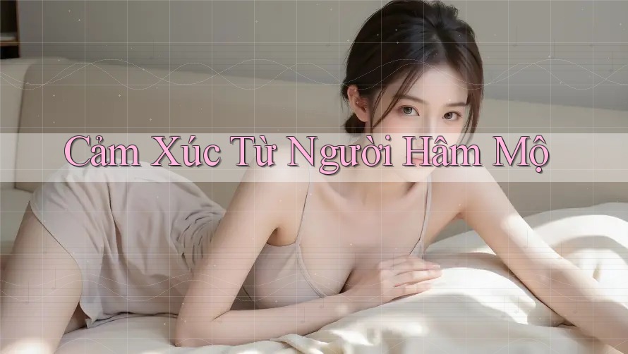 Cảm Xúc Từ Người Hâm Mộ