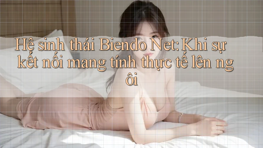 Hệ sinh thái Biendo Net: Khi sự kết nối mang tính thực tế lên ngôi