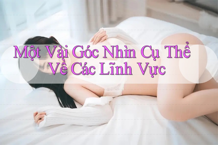 Một Vài Góc Nhìn Cụ Thể Về Các Lĩnh Vực Một Vài Góc Nhìn Cụ Thể Về Các Lĩnh Vực