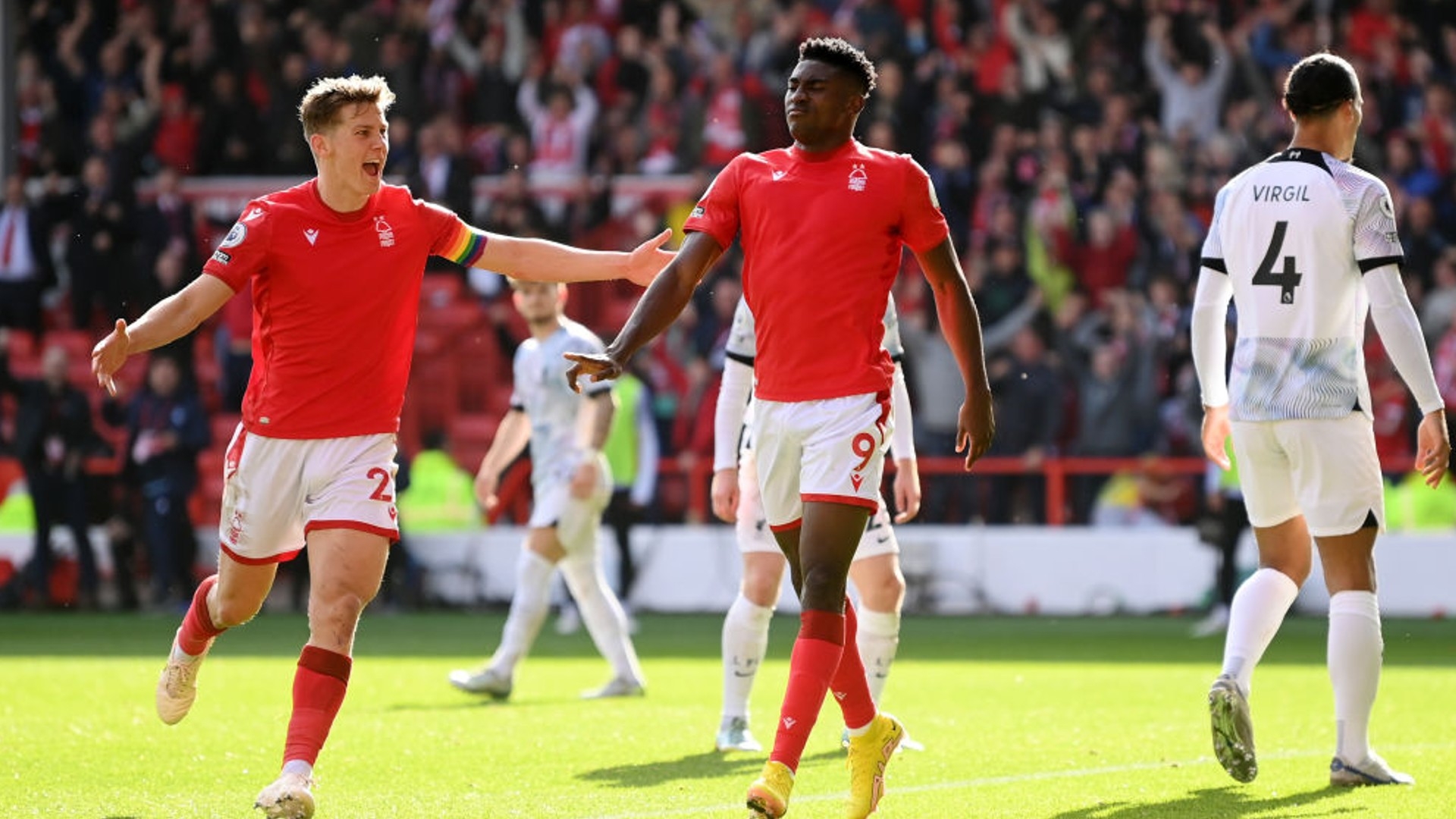 球迷和分析 球迷和分析